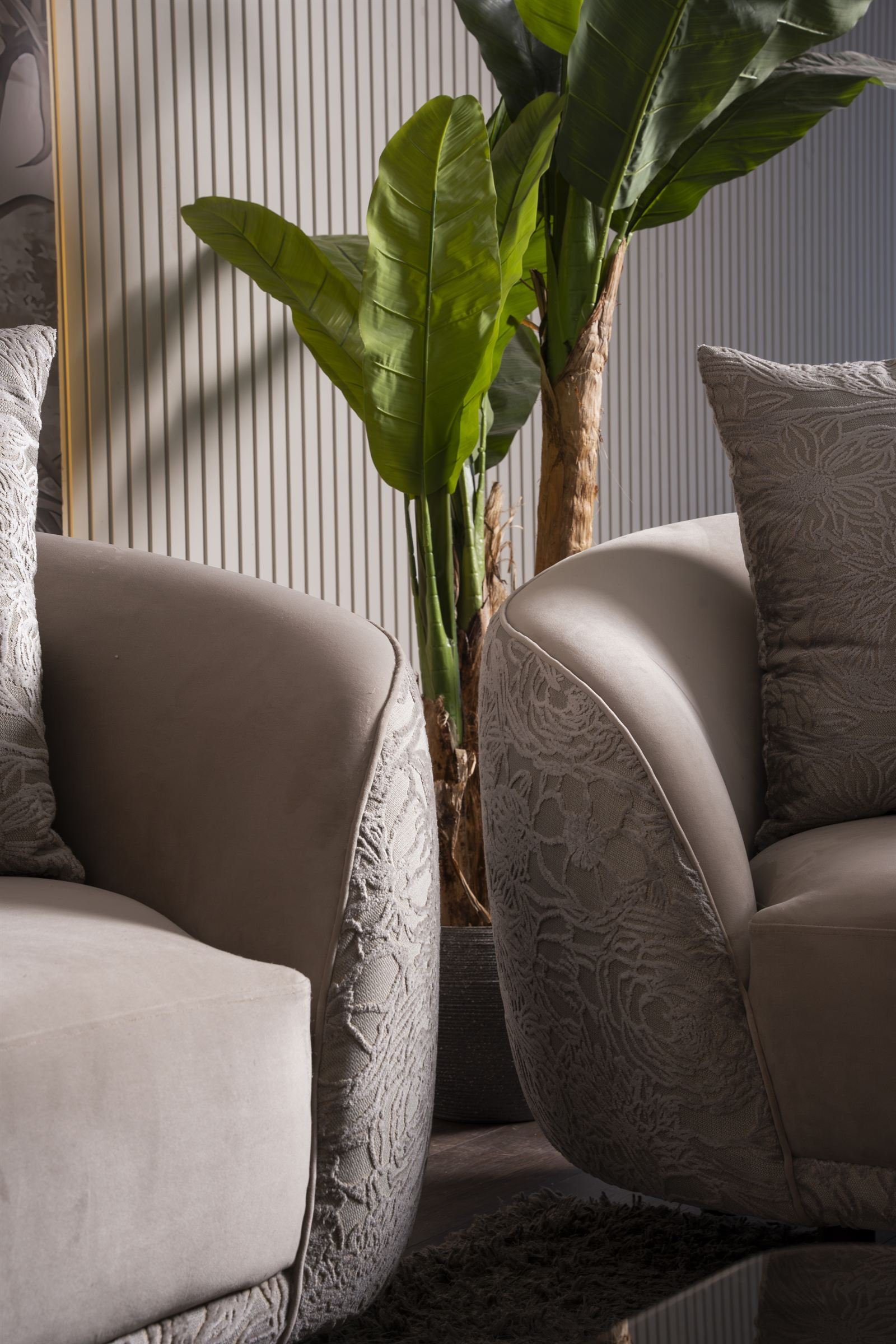 Armchairs beside a plant in the Divano showroom